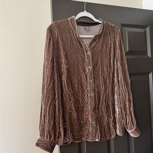J. Jill Brown/Tan Velvet Shirt